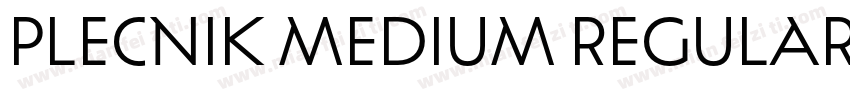 Plecnik Medium Regular字体转换